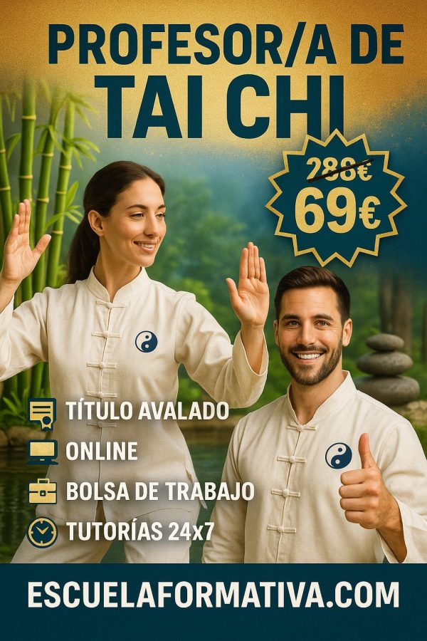 PROFESOR DE TAI CHI