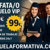 AZAFATA/O DE VUELO VIP EN AVIACIÓN EJECUTIVA Y JETS PRIVADOS