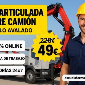 TÉCNICO OPERADOR DE GRÚA ARTICULADA SOBRE CAMIÓN (AUTOCARGANTE / PLUMÍN O PLUMA / GRÚA MONTADA)