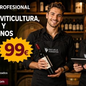 SOMMELIER PROFESIONAL Y ESPECIALISTA EN ENOLOGÍA, VITICULTURA, MARIDAJE Y CATA DE VINOS