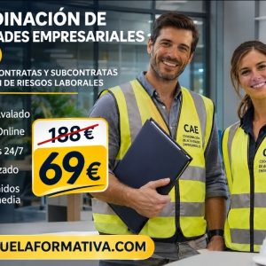 COORDINADOR DE ACTIVIDADES EMPRESARIALES (CAE), GESTIÓN DE CONTRATAS Y SUBCONTRATAS Y PREVENCIÓN DE RIESGOS LABORALES